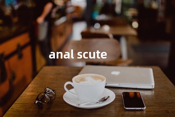 anal scute单词图解，单词释义场景配图