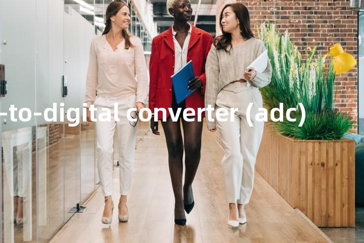 analog-to-digital converter (adc)单词图解，单词释义场景配图