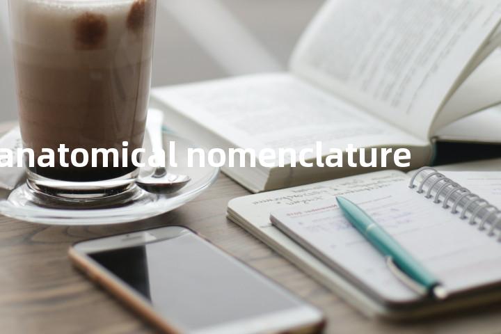 anatomical nomenclature单词图解，单词释义场景配图