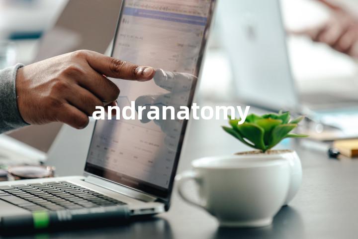 andranatomy单词图解，单词释义场景配图