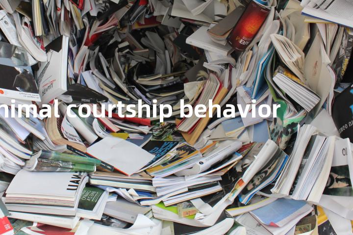 animal courtship behavior单词图解，单词释义场景配图
