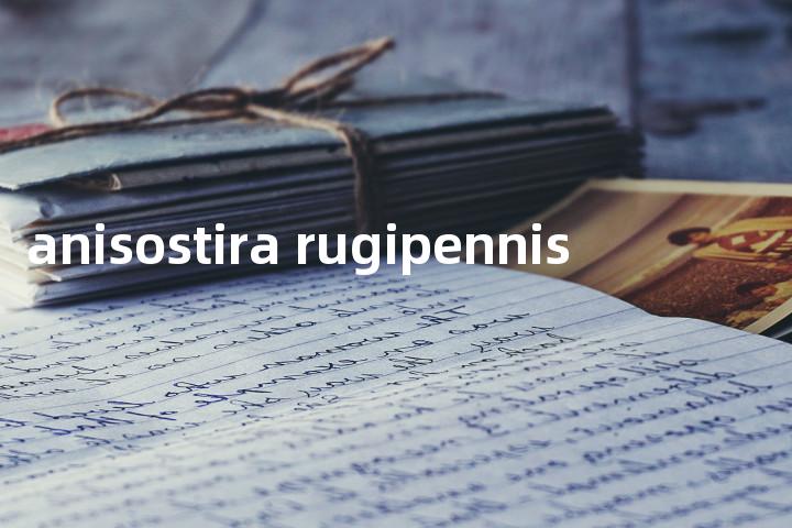 anisostira rugipennis单词图解，单词释义场景配图