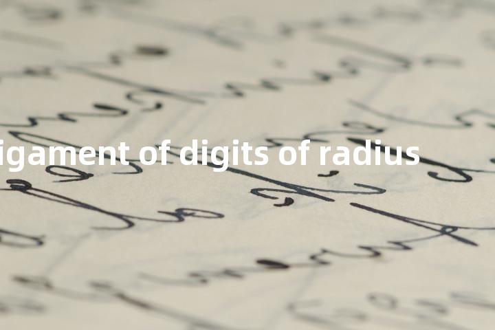 annular ligament of digits of radius单词图解，单词释义场景配图