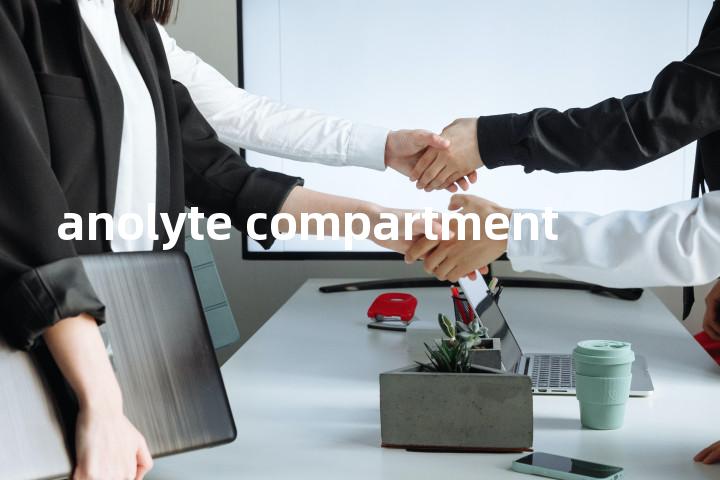 anolyte compartment单词图解，单词释义场景配图
