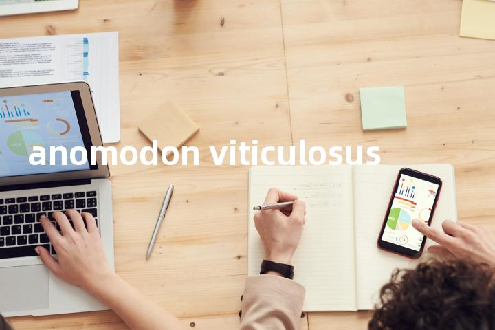 anomodon viticulosus单词图解，单词释义场景配图