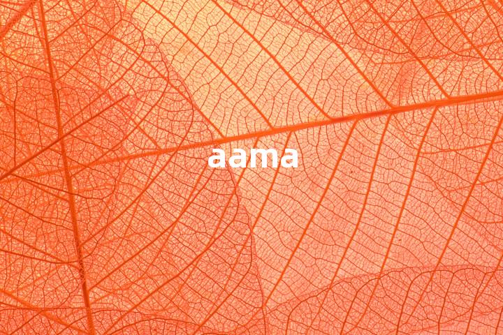 aama单词图解，单词释义场景配图