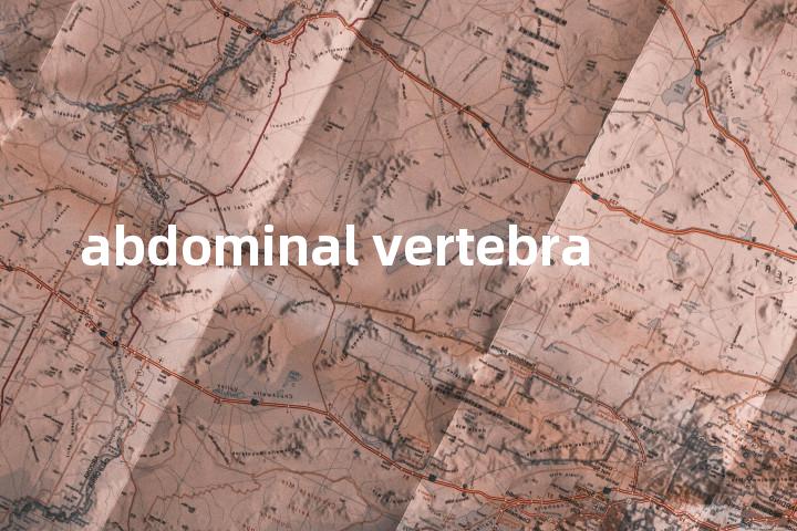 abdominal vertebra单词图解，单词释义场景配图