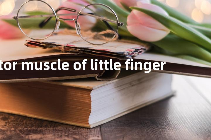 abductor muscle of little finger单词图解，单词释义场景配图