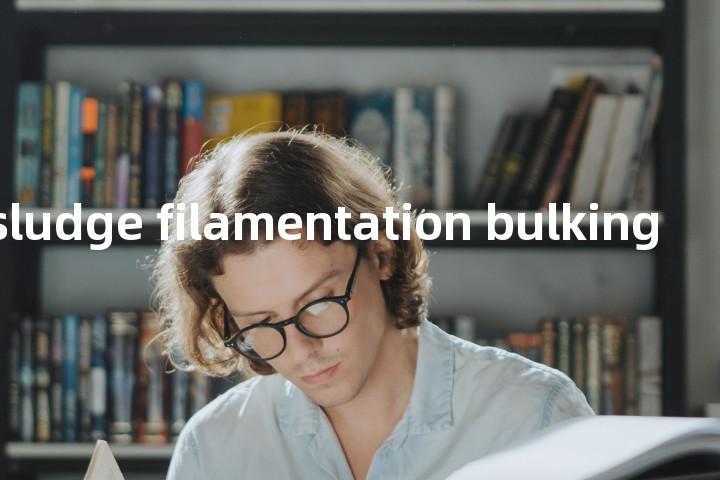 activated sludge filamentation bulking单词图解，单词释义场景配图