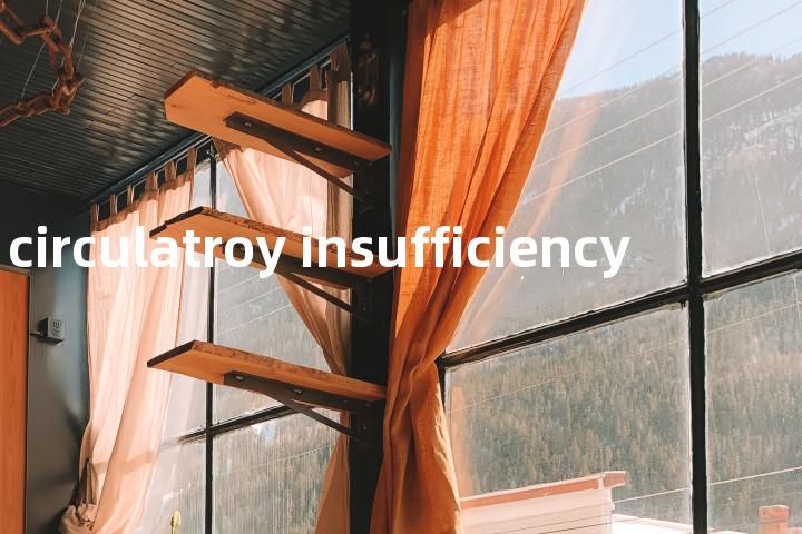 acute circulatroy insufficiency单词图解，单词释义场景配图