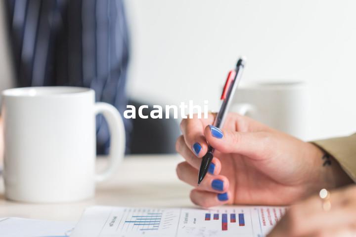 acanthi单词图解，单词释义场景配图