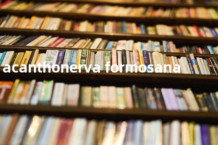 acanthonerva formosana单词图解，单词释义场景配图
