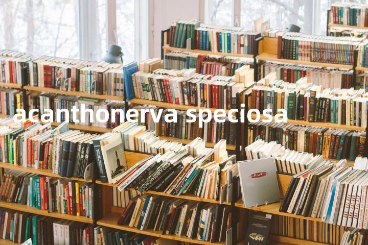 acanthonerva speciosa单词图解，单词释义场景配图