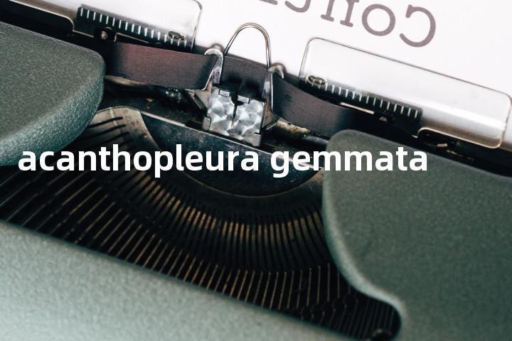 acanthopleura gemmata单词图解，单词释义场景配图