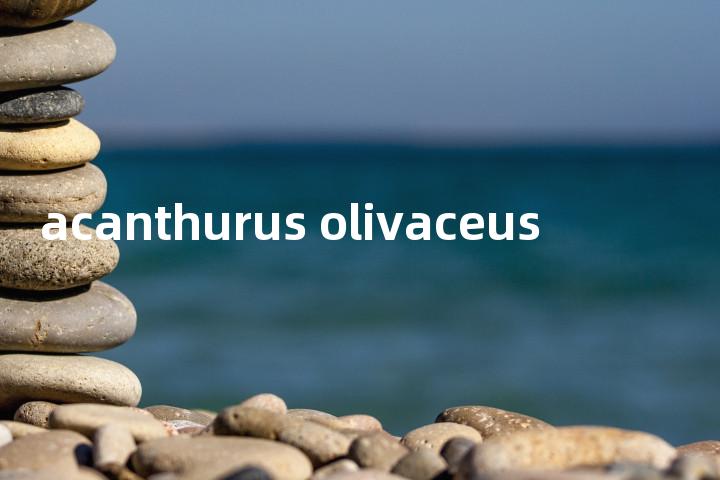 acanthurus olivaceus单词图解，单词释义场景配图