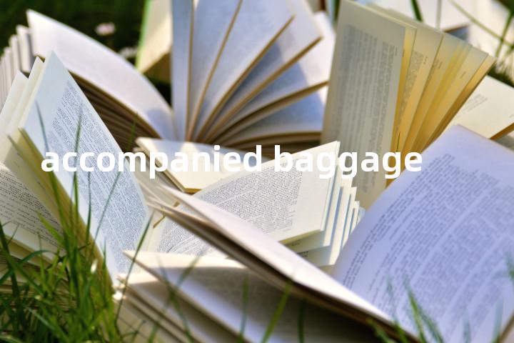 accompanied baggage单词图解，单词释义场景配图
