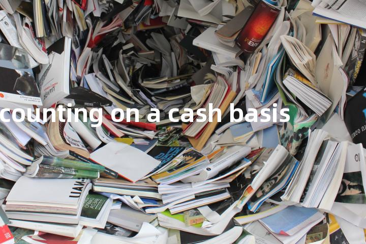 accounting on a cash basis单词图解，单词释义场景配图