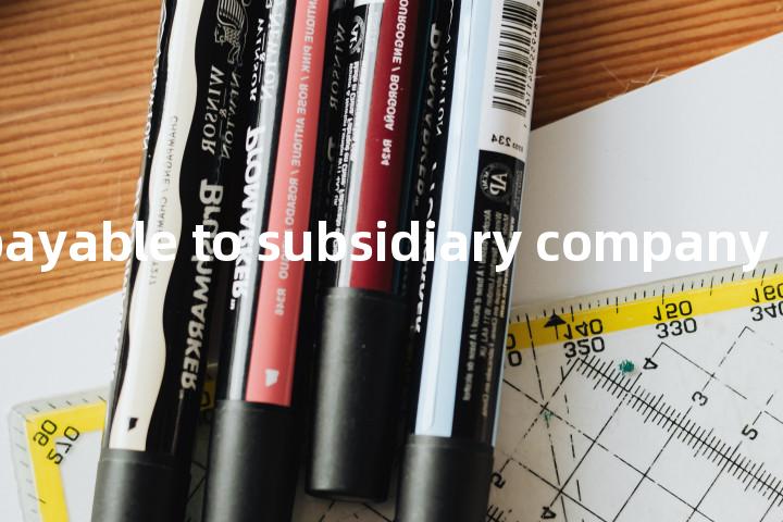 accounts payable to subsidiary company单词图解，单词释义场景配图