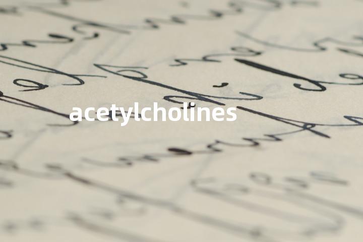 acetylcholines单词图解，单词释义场景配图