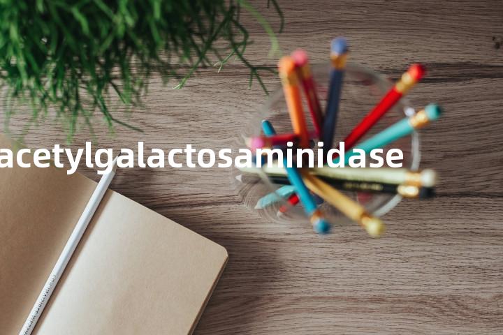 acetylgalactosaminidase单词图解，单词释义场景配图