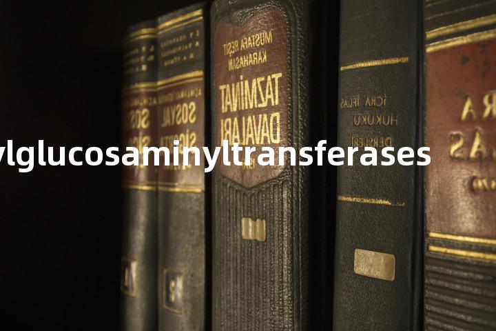 acetylglucosaminyltransferases单词图解，单词释义场景配图