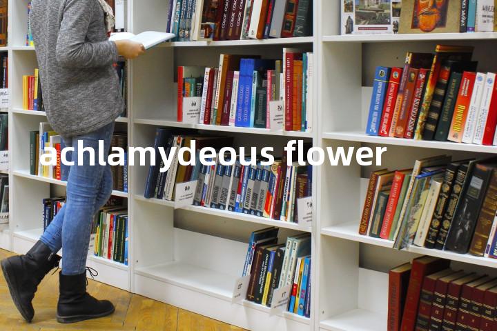 achlamydeous flower单词图解，单词释义场景配图