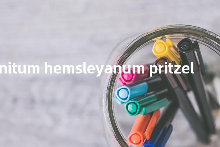 aconitum hemsleyanum pritzel单词图解，单词释义场景配图