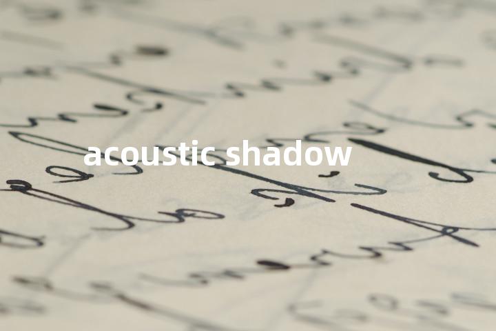acoustic shadow单词图解，单词释义场景配图