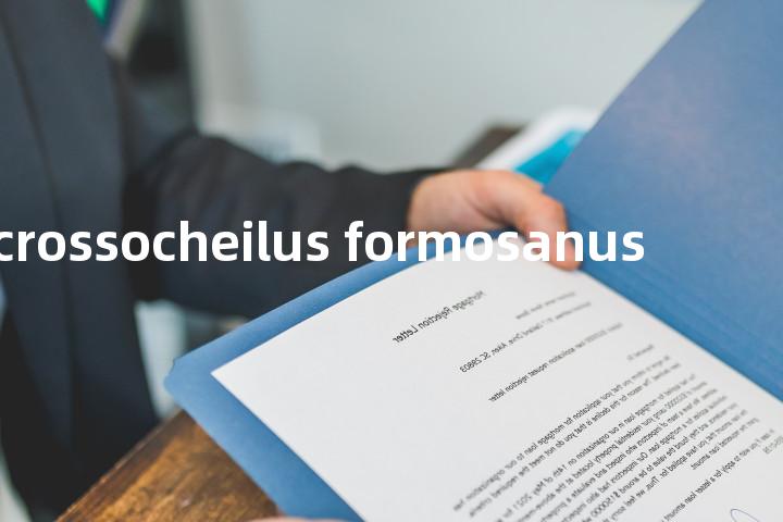 acrossocheilus formosanus单词图解，单词释义场景配图