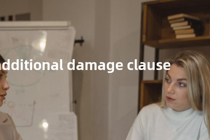 additional damage clause单词图解，单词释义场景配图