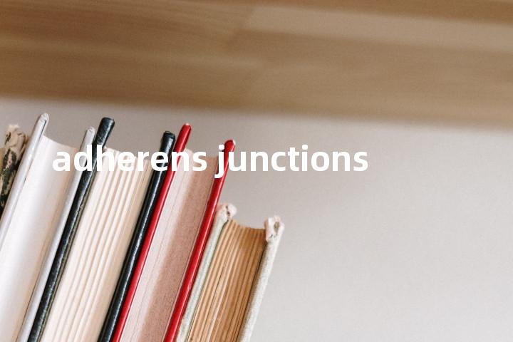 adherens junctions单词图解，单词释义场景配图