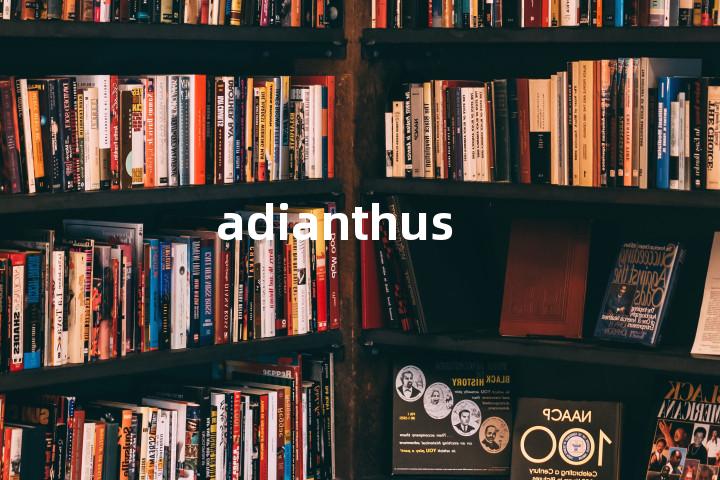 adianthus单词图解，单词释义场景配图