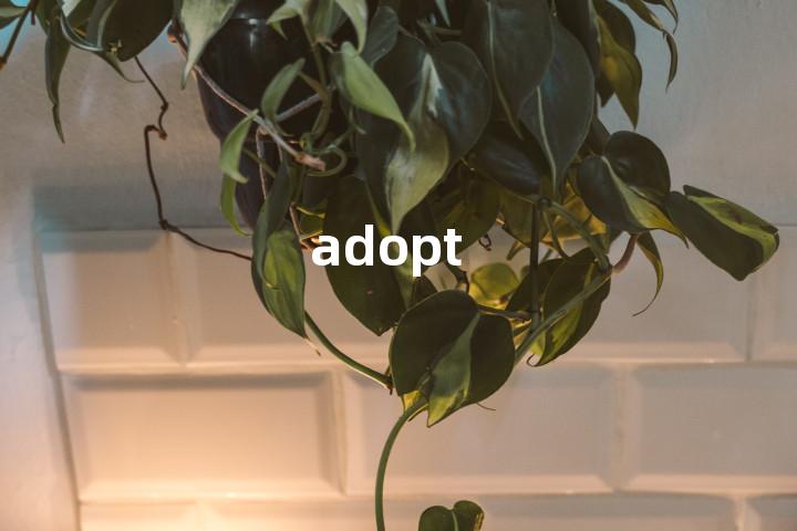 adopt