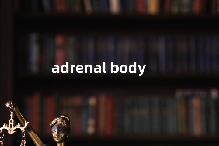 adrenal body单词图解，单词释义场景配图