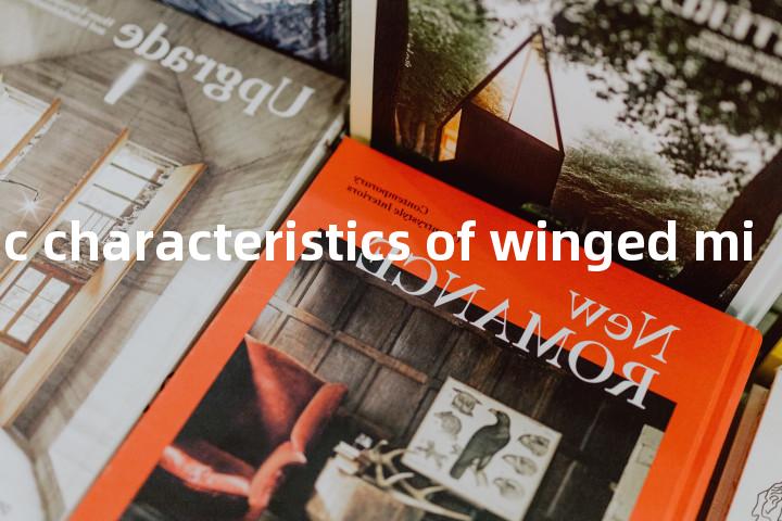 aerodynamic characteristics of winged missi1e单词图解，单词释义场景配图