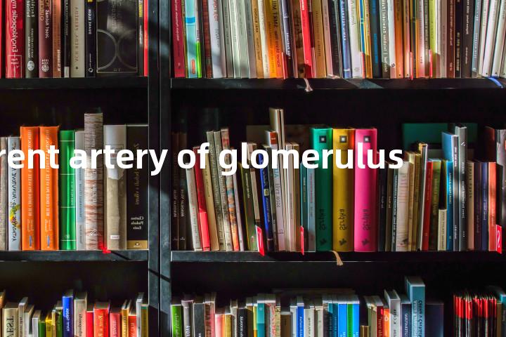 afferent artery of glomerulus单词图解，单词释义场景配图