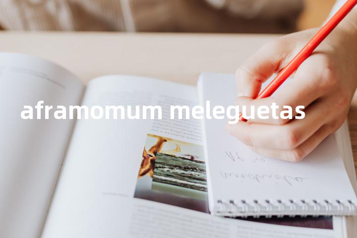 aframomum meleguetas单词图解，单词释义场景配图
