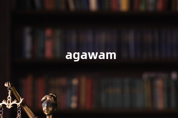 agawam单词图解，单词释义场景配图
