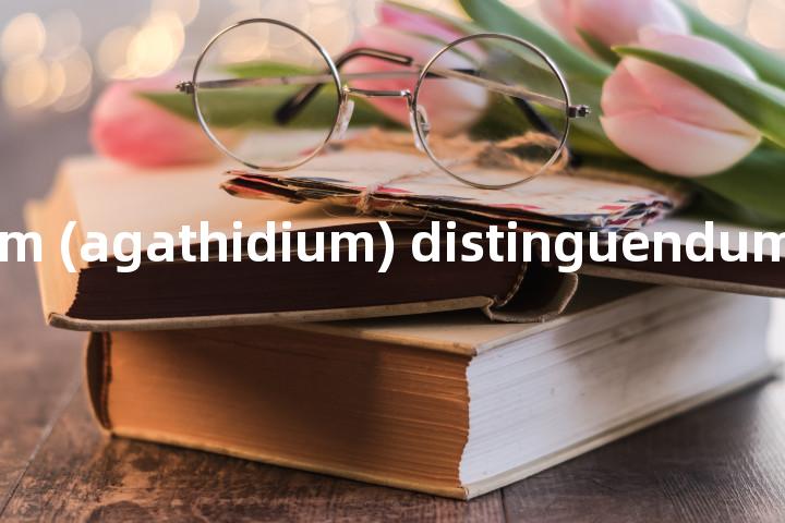 agathidium (agathidium) distinguendum单词图解，单词释义场景配图