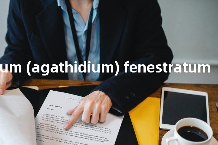 agathidium (agathidium) fenestratum单词图解，单词释义场景配图