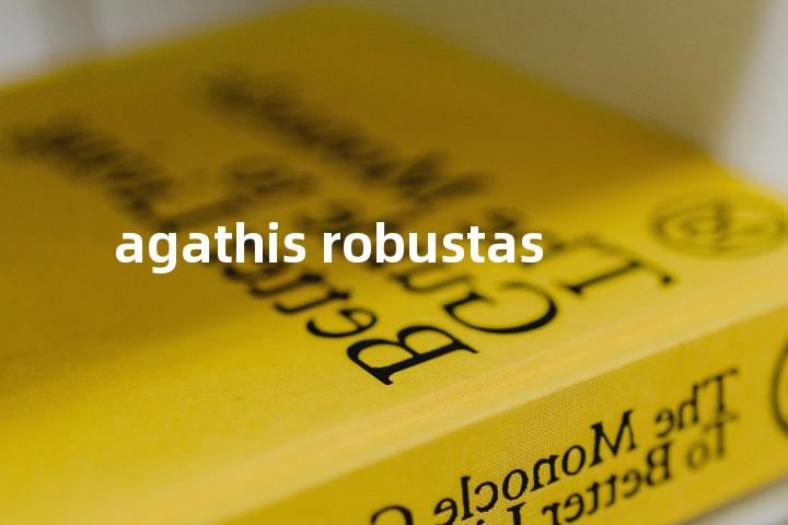 agathis robustas单词图解，单词释义场景配图