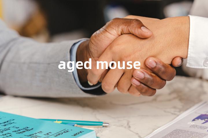 aged mouse单词图解，单词释义场景配图