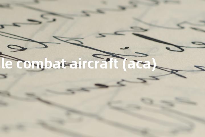 agile combat aircraft (aca)单词图解，单词释义场景配图