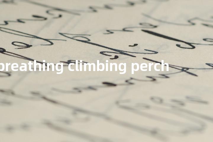 air breathing climbing perch单词图解，单词释义场景配图