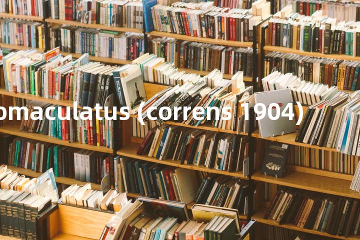 albomaculatus (correns 1904)单词图解，单词释义场景配图