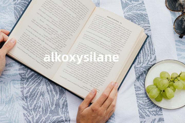 alkoxysilane单词图解，单词释义场景配图