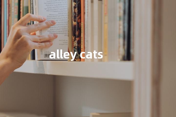 alley cats单词图解，单词释义场景配图
