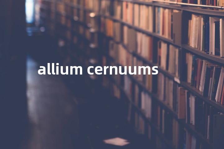 allium cernuums单词图解，单词释义场景配图