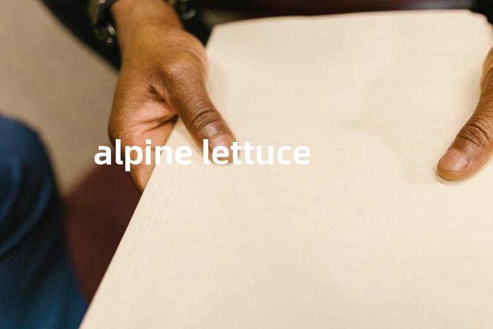 alpine lettuce单词图解，单词释义场景配图
