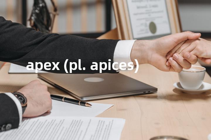 apex (pl. apices)单词图解，单词释义场景配图
